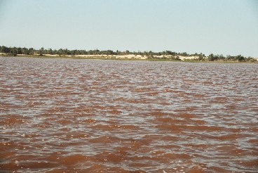 Lac Rose, oftewel Lac Retba, 
een meer dat qua zoutgehALTe niet moet onderdoen voor de Dode Zee en afhankelijk van de lichtinval 
een donkerroze schijn heeft