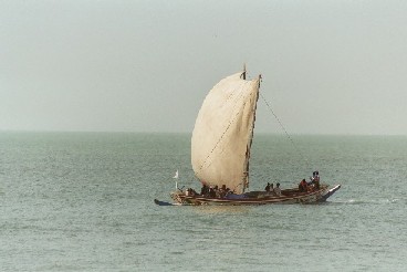 Zicht op zee vanuit onze hut in 